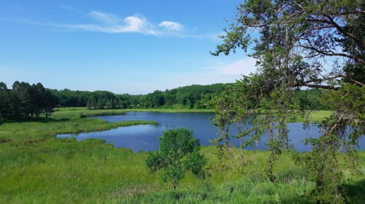 Hike Through Tamarac National Wildlife Refuge For The Chance To See Minnesota Animals Up Close