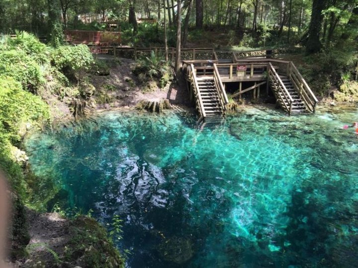 The Natural Swimming Hole At Madison Blue Springs In Florida Will Take You Back To The Good Ole Days