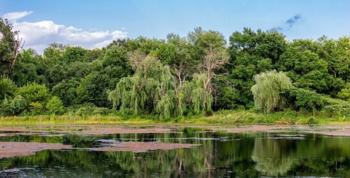 Enjoy An Easy And Peaceful Walk Around Lake Artemesia In Maryland