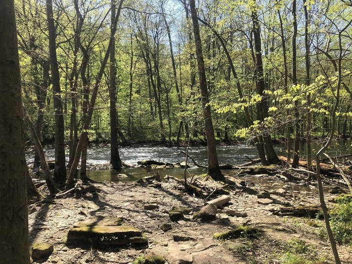 Hike To A Remote Forest Gorge On The Hemlock Gorge Trail, A Secluded Ohio Adventure