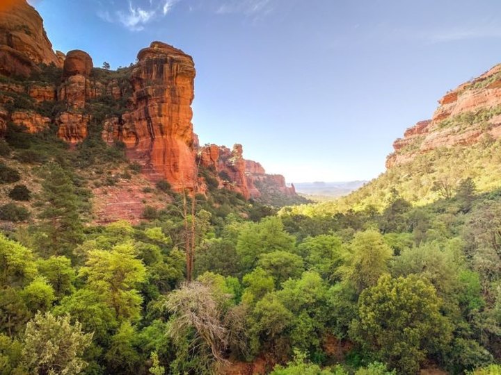 There's A Breathtaking Evergreen Meadow On Fay Canyon Trail In Arizona