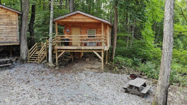 Tree-House Cabin Camping With Buffalo By The Hatfield/McCoy Trail Is An Awesome West Virginia Adventure