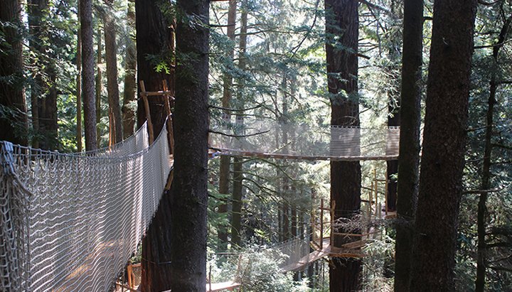 The Redwood Canopy Trail At Trees Of Mystery Is Northern California's Newest Aerial Adventure