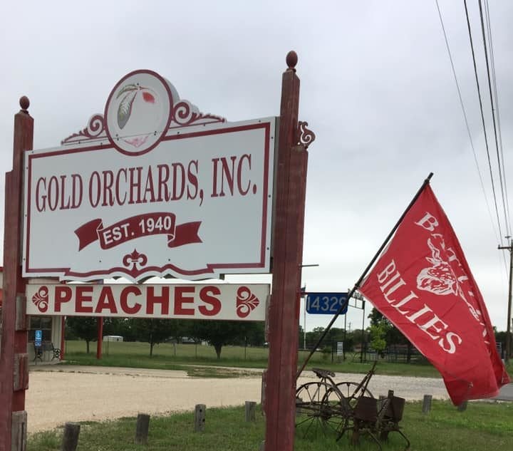 Enjoy Hand-Spun Peach Ice Cream And Mouthwatering Pies At Gold Orchards In Texas
