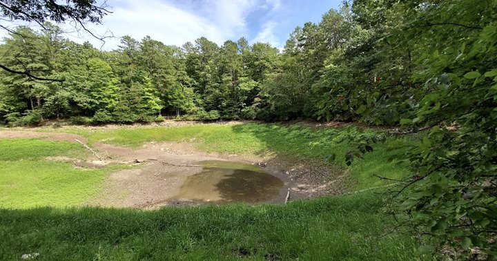 The Only Natural Lake In West Virginia, Trout Pond Is Slowly Sinking Out Of Sight