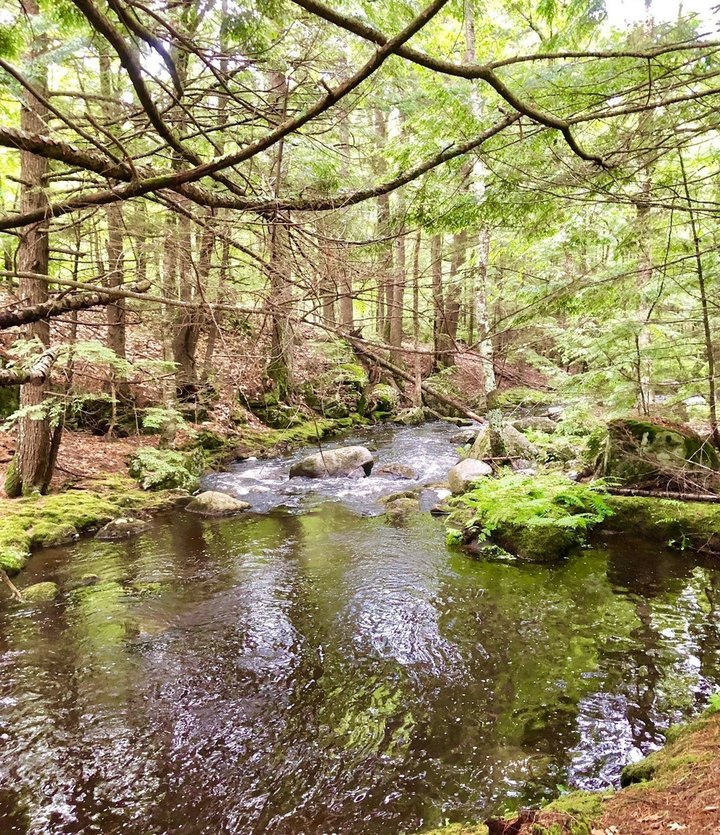 With A Waterfall And Wading Pool, Big Falls Preserve In Maine Is Downright Enchanting