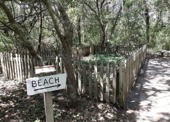 Follow A Sandy Path To The Waterfront When You Visit Springer's Point Nature Preserve In North Carolina