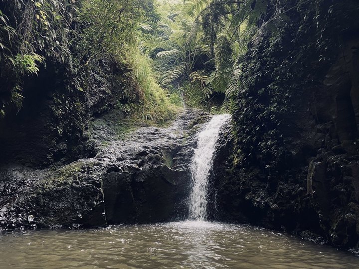 Maunawili Falls Trail Is A 3-Mile Hike In Hawaii That Leads You To A Pristine Swimming Hole