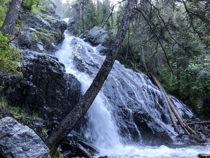 This Easy 2.5-Mile Trail Leads To Pine Creek Falls, One Of Montana's Most Underrated Waterfalls