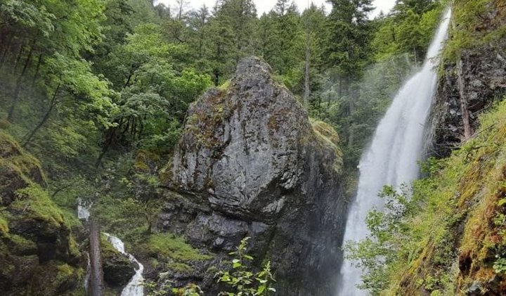 This Easy, 3/4-Mile Trail Leads To Henline Falls, One Of Oregon's Most Underrated Waterfalls
