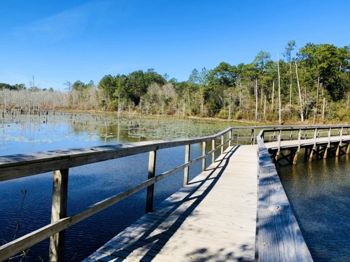 8 Little-Known Trails In Alabama You'll Want To Take Whenever You're Feeling Outdoorsy