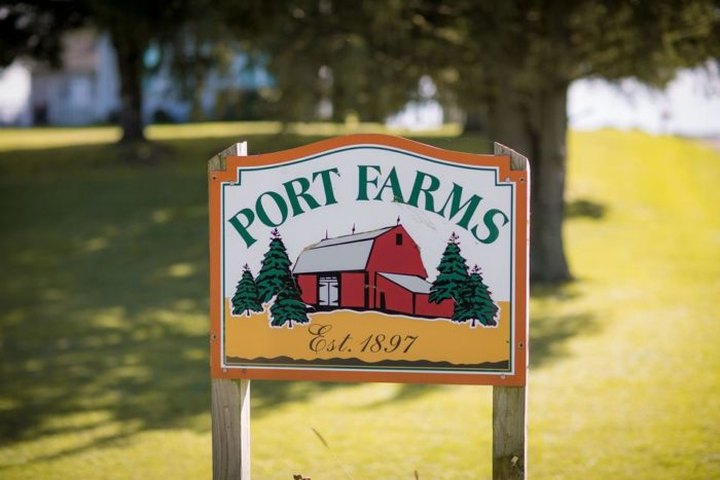 Port Farms Is A Beautiful Fall Farm Hiding In Plain Sight In Pennsylvania That You Need To Visit This Autumn