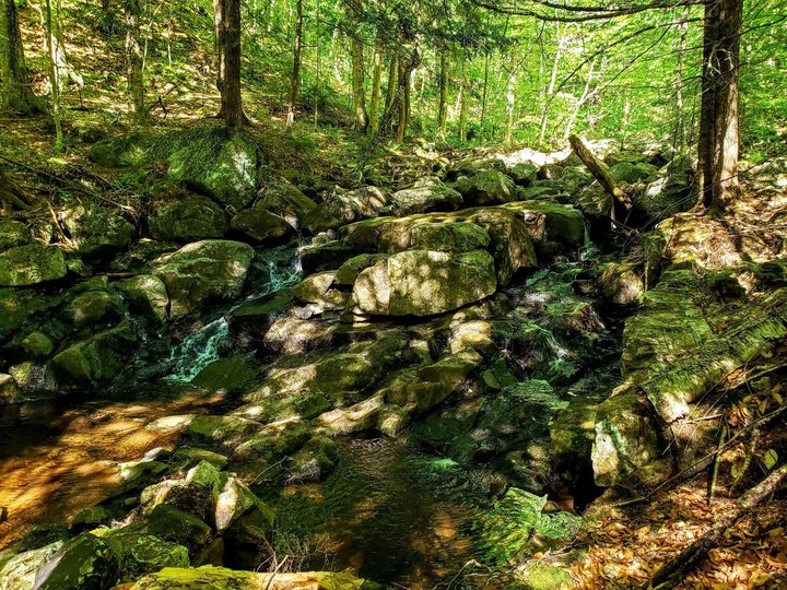 A 6.8-Mile Hiking Trail In New York, Peaked Mountain Trail Is Full Of Babbling Brooks