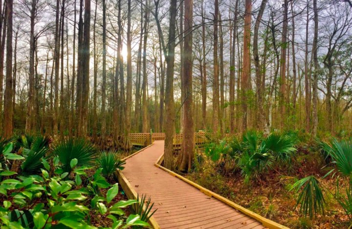 You'll Be Hooked After A Day Spent Exploring These 6 Hidden Trails In Louisiana