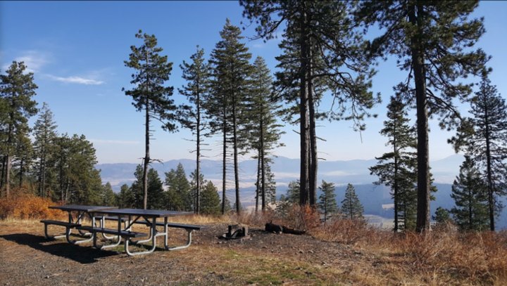 McCroskey State Park In Idaho Is So Hidden Most Locals Don't Even Know About It