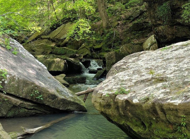 Alabama's Cane Creek Canyon Nature Preserve Is A Nature Lover's Dream