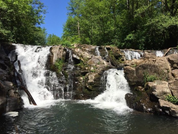 This Waterfall Swimming Hole In Washington Is So Hidden You’ll Probably Have It All To Yourself