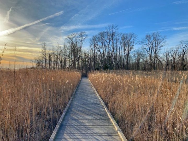 Bombay Boardwalk Trail Is An Easy Hike In Delaware That Leads To A Secret Salt Marsh