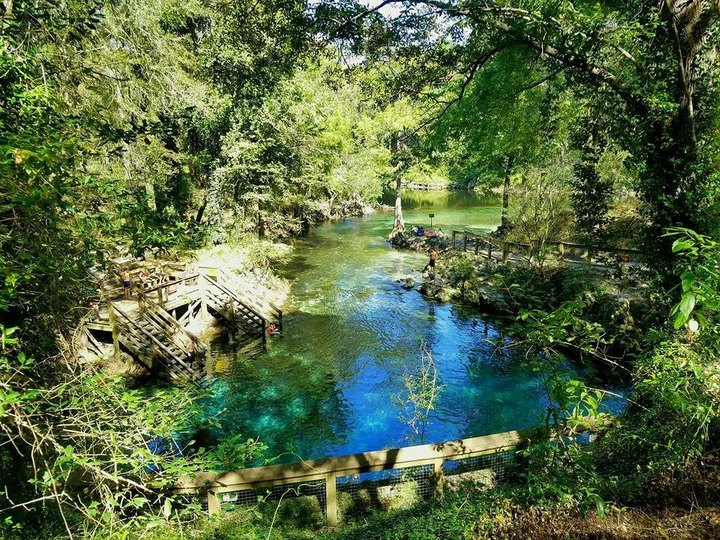 This Natural Spring Swimming Hole In Florida Is So Hidden You’ll Probably Have It All To Yourself