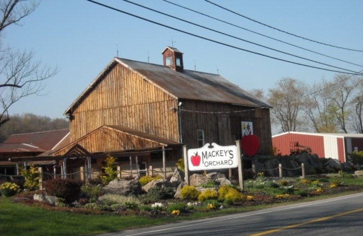 Start Planning For A Trip To Mackey's Orchard In New Jersey This Fall For Apple Cider Donuts Galore