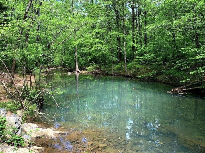 The Tree Trail Might Be One Of The Most Beautiful Short-And-Sweet Hikes To Take In Oklahoma