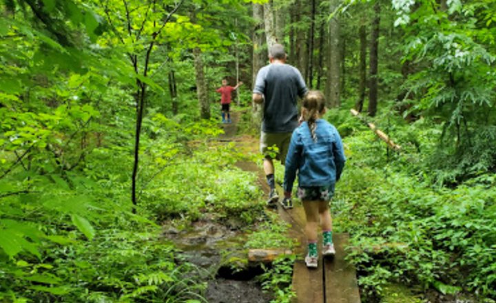 Walter/Newton Natural Area Trail Is A Beginner-Friendly Waterfall Trail In New Hampshire That's Great For A Family Hike