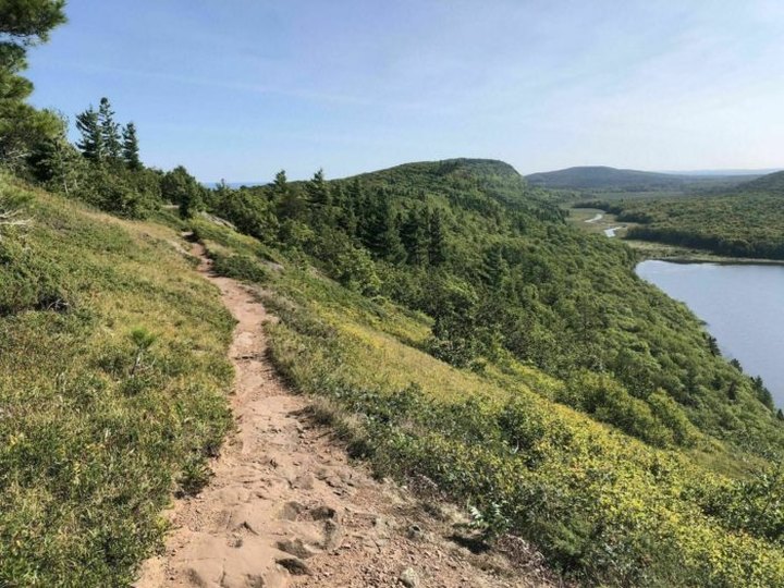 Escarpment Trail Is A Challenging Hike In Michigan That Will Make Your Stomach Drop