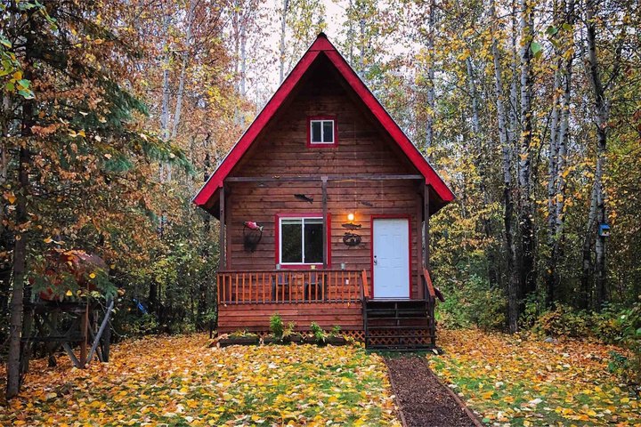 Nestle In To This Tiny Alaskan Cabin In The Woods, Your Basecamp For Adventure In Talkeetna