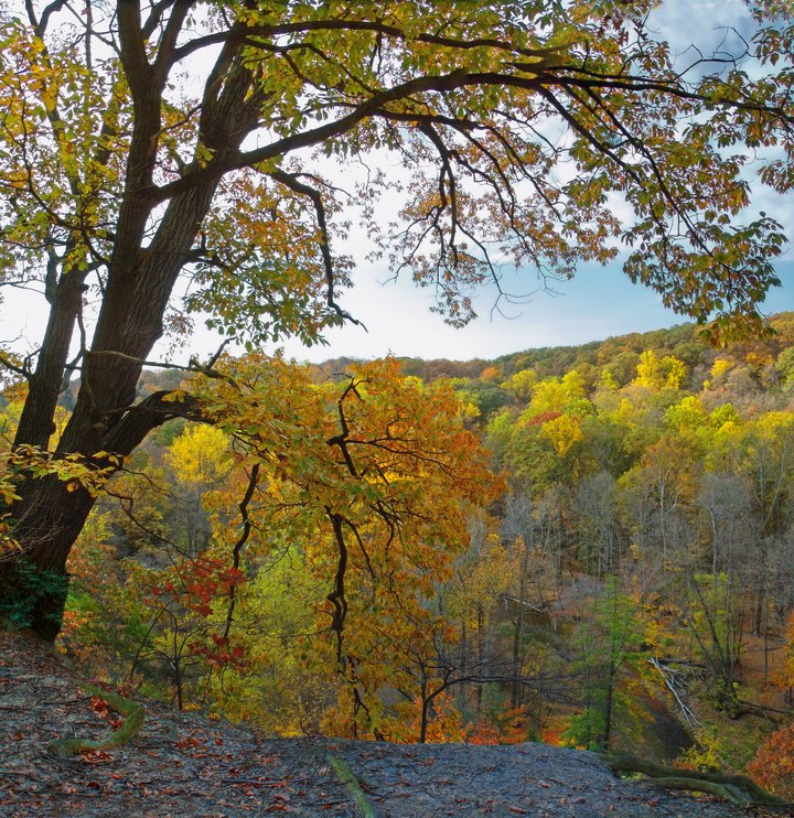 8 Beautiful And Colorful Trails You'll Want To Hike In Ohio This Fall