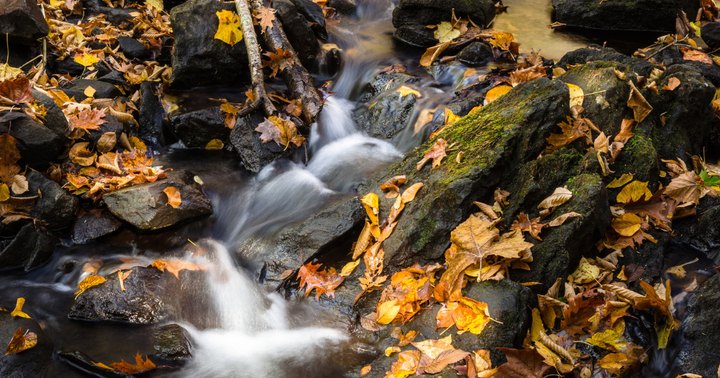 Southford Falls In Connecticut Will Soon Be Surrounded By Beautiful Fall Colors