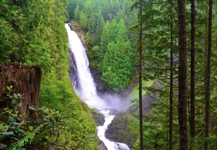 The Washington Trail That Leads To A Three-Tiered Waterfall Is Heaven On Earth