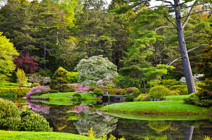 Wander Through The Magical, Otherworldly Asticou Azalea Garden In Maine