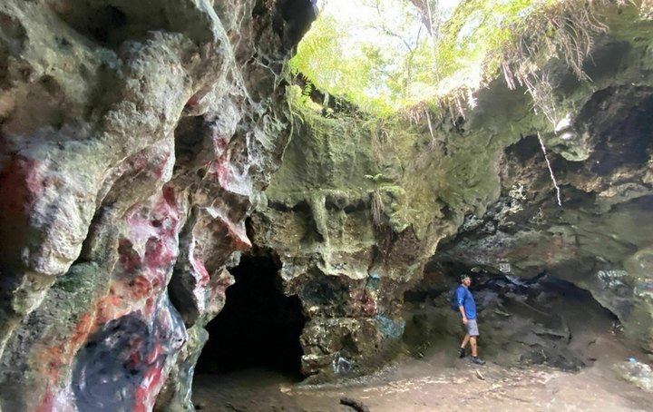 The Dames Cave Trail Is A Challenging Hike In Florida That Will Make Your Stomach Drop