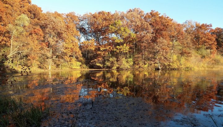 11 Of The Most Beautiful Fall Destinations Near Detroit