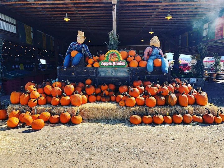 Fall Into The Season With A Weekend Trip To Apple Annie's Orchard In Arizona