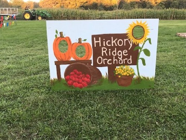 Explore A 38-Acre Missouri Orchard That Has A Petting Zoo, Apple Picking, And A Corn Maze