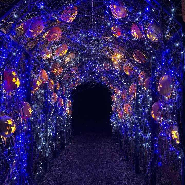 Take A Stroll Through More Than 2,000 Glowing Jack-O'-Lanterns At The Hollow At Phantom Lake In Wisconsin