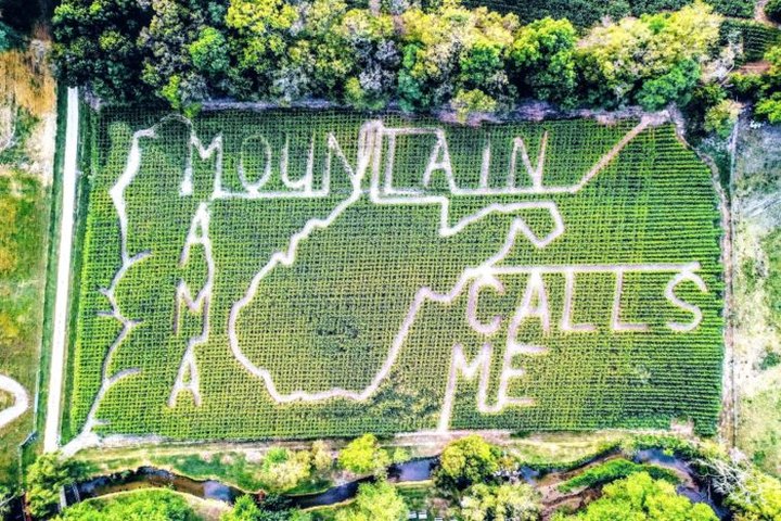 The Old McDonald's Corn Maze In West Virginia Is A Classic Fall Tradition