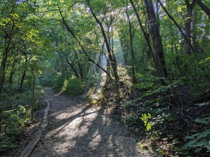The White Tail Trail Might Be One Of The Most Beautiful Short-And-Sweet Hikes To Take In Missouri