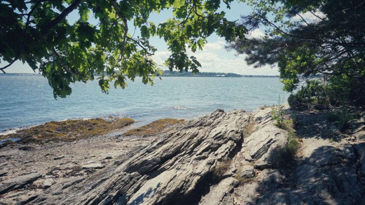 Mackworth Island State Park In Maine Is So Well-Hidden, It Feels Like One Of The State's Best Kept Secrets