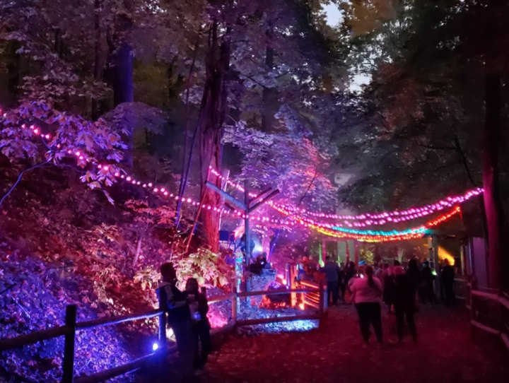 The Whimsical One-Mile IllumiZoo Experience In Michigan Will Take You On A Spectacular Nighttime Adventure