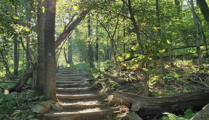 Scramble Your Way Up Bearfence Mountain, A 1-Mile Trail With Some Of The Best Views In Virginia