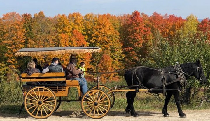 Nothing Says Fall Is Here More Than A Visit To New Hampshire's Charming Apple Farm