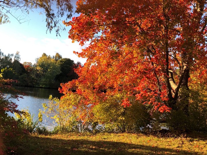 Take A Gorgeous Fall Hike Through Roger Williams Park In Rhode Island