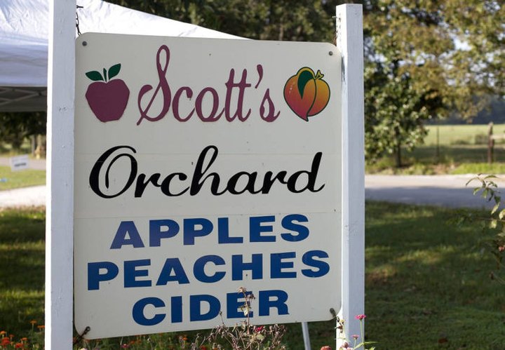 Enjoy Fresh-Pressed Apple Cider This Fall At Scott's Orchard In Alabama