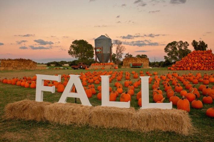 Lone Star Family Farm In Texas Has Endless Fall Fun For The Whole Family