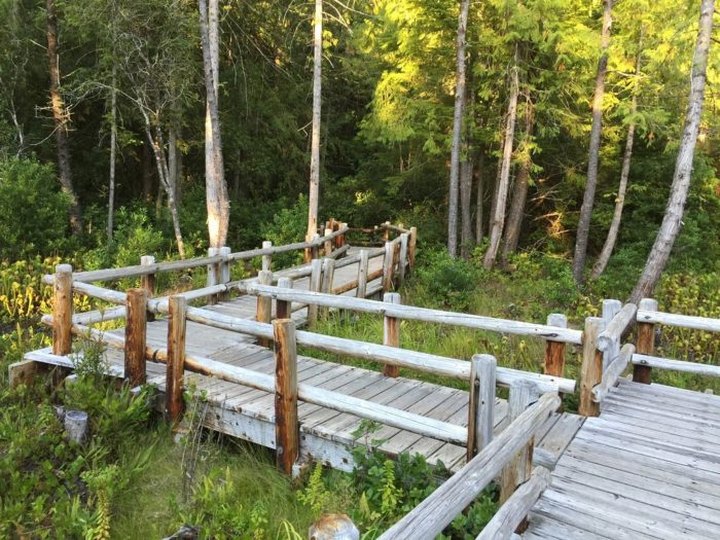 Darlingtonia Wayside Is A Boardwalk Trail In Oregon That Leads To A Secret Botanical Garden