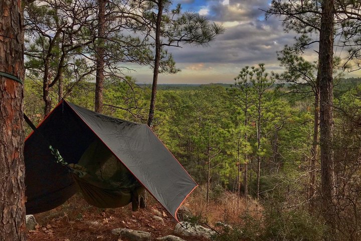 Spend A Weekend Under The Stars Camping In The Kisatchie National Forest In Louisiana