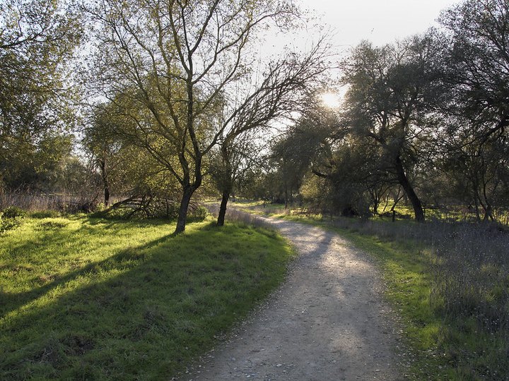 Stretch Your Legs At Effie Yeaw Nature Center, A 100-Acre Preserve In Northern California That's Home To 3 Nature Trails
