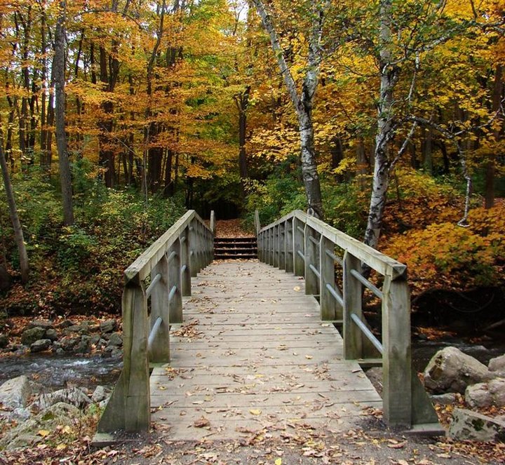 Explore Trails, A Natural Spring, And Even A Biergarten At Petrifying Springs Park In Wisconsin      
